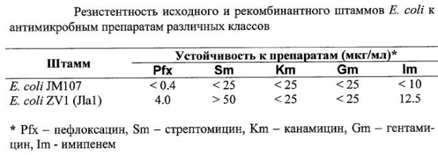 Рекомбинантный штамм escherichia coli zv1 - носитель клонированной последовательности хромосомной днк burkholderia pseudomallei, детерминирующей синтез белка 32 kda и резистентность к пефлоксацину и стрептомицину (патент 2280688)