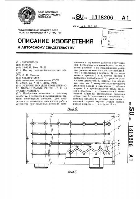 Устройство для конвейерного выращивания растений с их раздвижением (патент 1318206)