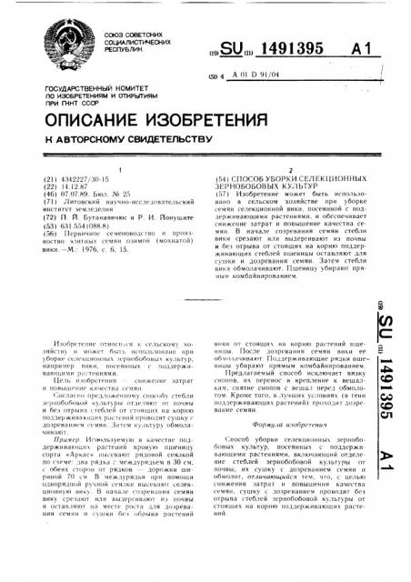 Способ уборки селекционных зернобобовых культур (патент 1491395)