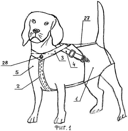 Гигиеническое белье для домашних животных-млекопитающих (патент 2289240)