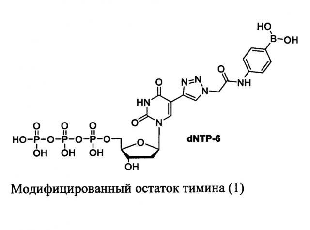 Аптамеры, специфичные к внеклеточному гликозилированному домену человеческого рецептора cd47 (патент 2645457)