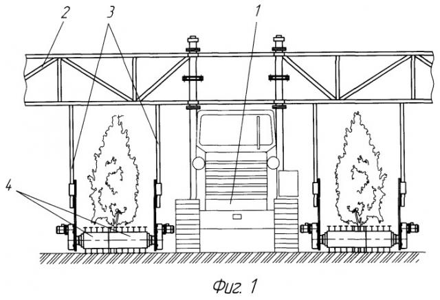 Устройство для обработки межкустовых полос виноградников (патент 2501198)