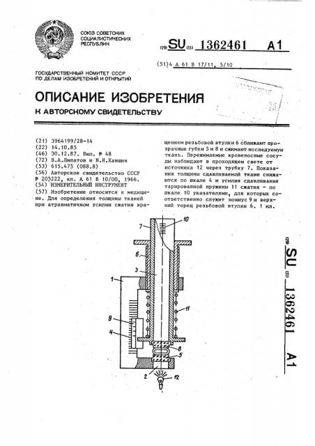 Измерительный инструмент (патент 1362461)