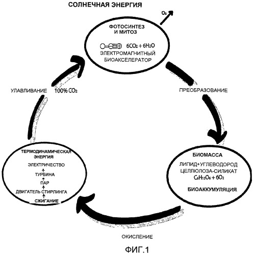 Ускоренный способ преобразования энергии диоксида углерода (патент 2466932)