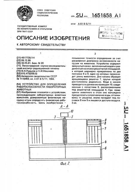 Устройство для определения работоспособности лабораторных животных (патент 1651858)