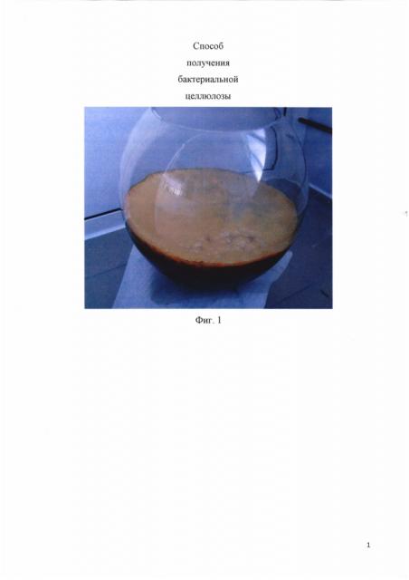 Способ получения бактериальной целлюлозы (патент 2597291)