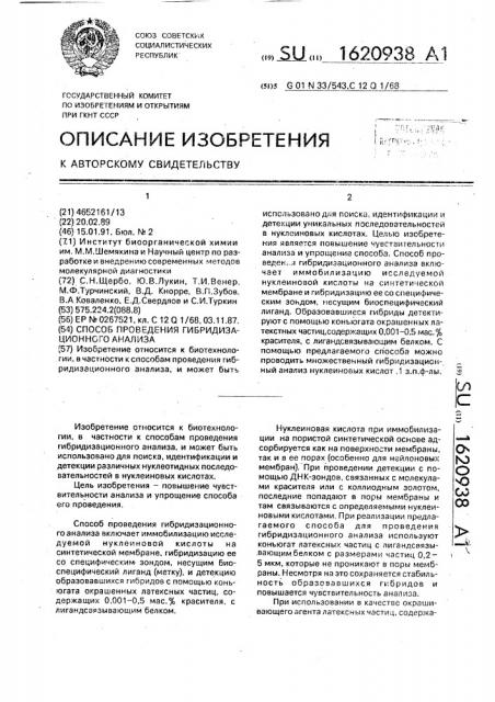 Способ проведения гибридизационного анализа (патент 1620938)