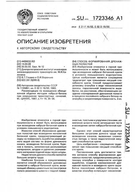 Способ формирования дренажных полостей (патент 1723346)