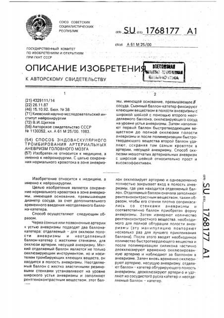 Способ эндоваскулярного тромбирования артериальных аневризм головного мозга (патент 1768177)