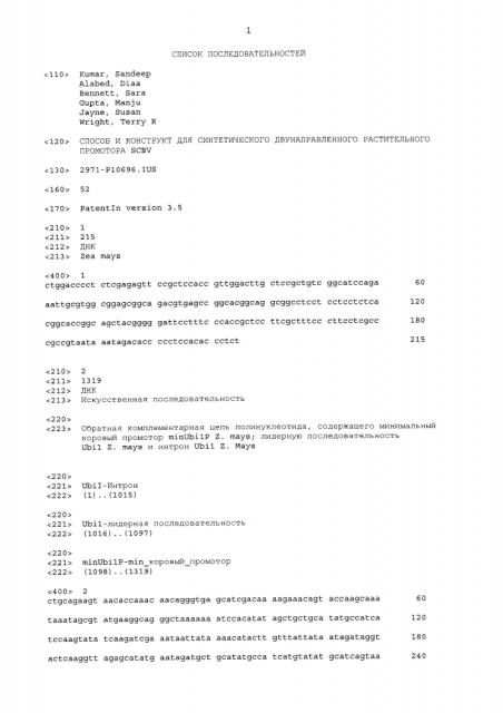 Способ и конструкт для синтетического двунаправленного растительного промотора scbv (патент 2627595)