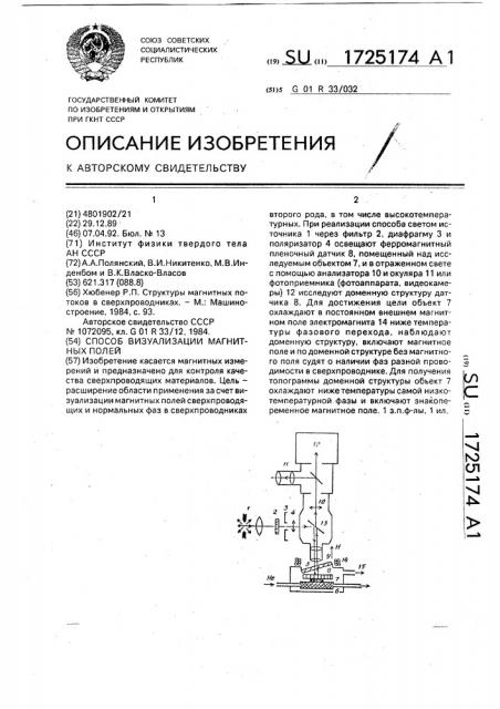 Способ визуализации магнитных полей (патент 1725174)