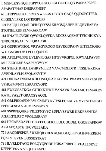 Лекарственное средство для коррекции эндотелиальной дисфункции (патент 2543331)