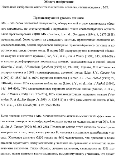 Антитела человека, обладающие активностью связывания c mn и нейтрализации клеточной адгезии (патент 2317998)