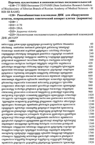 Рекомбинантная плазмидная днк для обнаружения агентов, повреждающих генетический аппарат клетки (варианты) (патент 2311459)