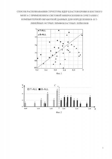 Способ распознавания структуры ядер бластов крови и костного мозга с применением световой микроскопии в сочетании с компьютерной обработкой данных для определения в- и т-линейных острых лимфобластных лейкозов (патент 2659217)