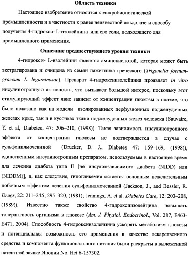 Новая альдолаза, днк, кодирующая альдолазу, клетки, трансформированные днк, способ получения альдолазы и способ получения 4-гидрокси-l-изолейцина (варианты) (патент 2338784)