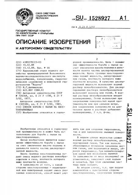 Способ борьбы с пылью на хвостохранилищах (патент 1528927)