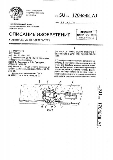 Способ закрепления оврагов и устройство для его осуществления (патент 1704648)