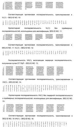 Конструкции антител и хемокинов и их применение при иммунологических нарушениях (патент 2252786)