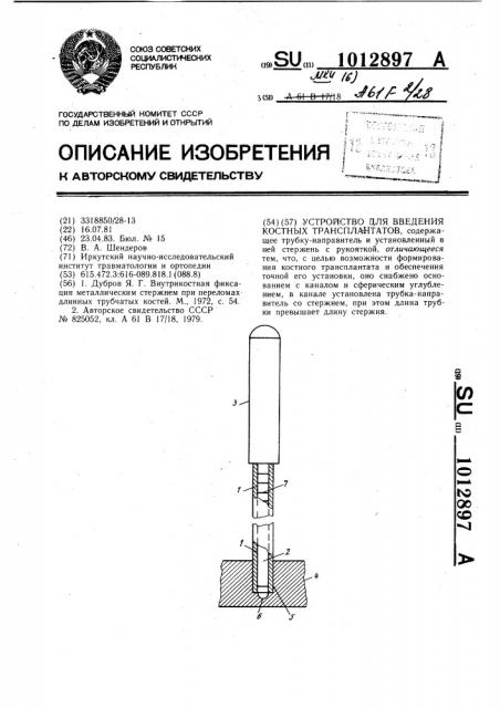 Устройство для введения костных трансплантатов (патент 1012897)