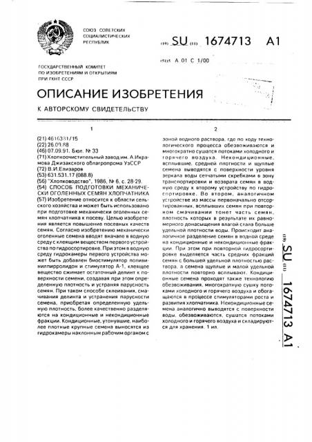 Способ подготовки механически оголенных семян хлопчатника (патент 1674713)