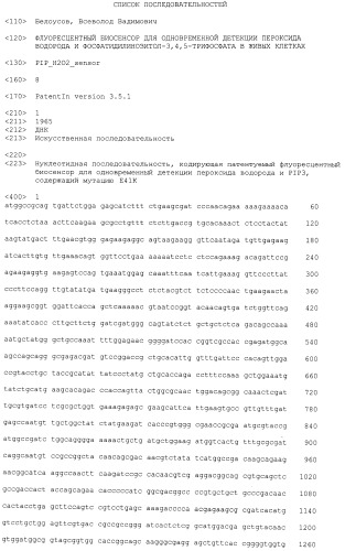 Химерный белок, являющийся флуоресцентным биосенсором для одновременной детекции пероксида водорода и фосфатидилинозитол-3,4,5-трифосфата, нуклеиновая кислота, кодирующая такой белок, кассета экспрессии и эукариотическая клетка-хозяин (патент 2498996)