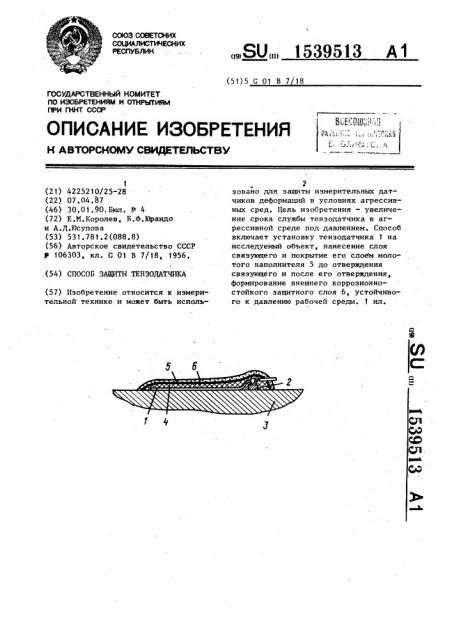 Способ защиты тензодатчика (патент 1539513)