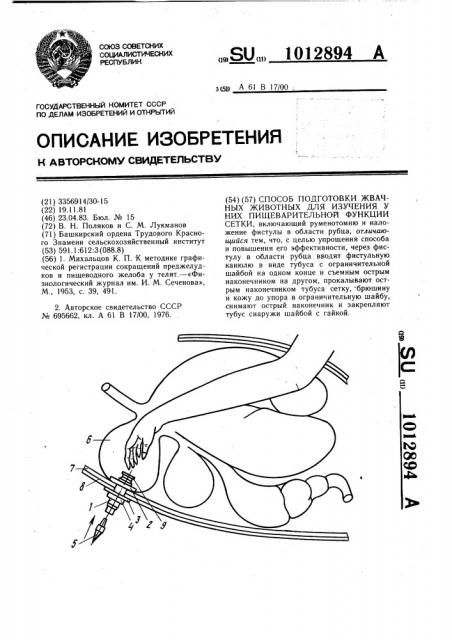 Способ подготовки жвачных животных для изучения у них пищеварительной функции сетки (патент 1012894)