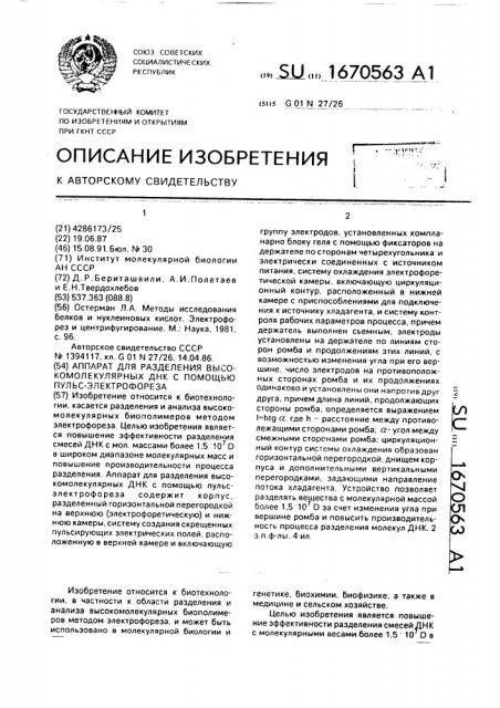 Аппарат для разделения высокомолекулярных днк с помощью пульс-электрофореза (патент 1670563)