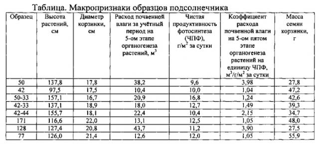 Способ отбора образцов подсолнечника на высокую продуктивность (патент 2592678)