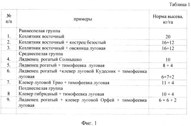 Способ возделывания многолетних кормовых трав на севере (патент 2567212)