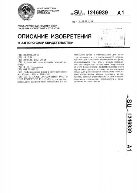 Способ заражения растений корневой гнилью (патент 1246939)