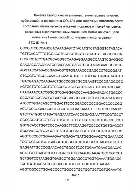 Линейка биологически активных генно-терапевтических субстанций на основе гена col1a1 для коррекции патологических состояний клеток органов и тканей и органов и тканей человека, способ получения и использования (патент 2652350)