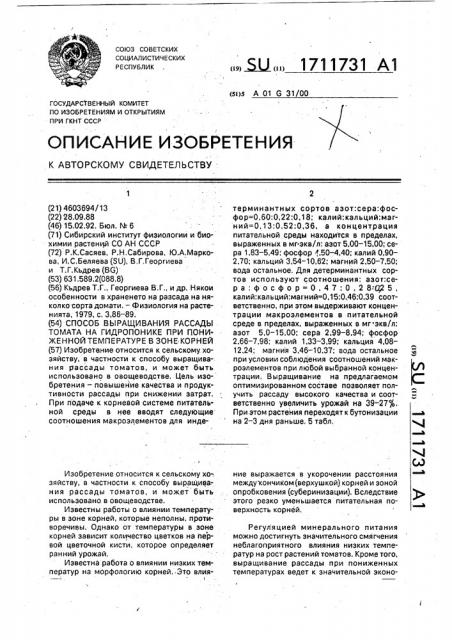 Способ выращивания рассады томата на гидропонике при пониженной температуре в зоне корней (патент 1711731)