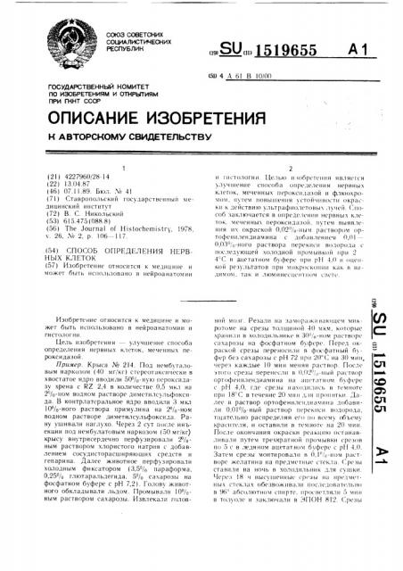 Способ определения нервных клеток (патент 1519655)