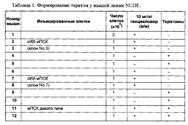 Способ обеспечения безопасности применения плюрипотентных стволовых клеток в тканезаместительной терапии при помощи искусственных хромосом (патент 2548819)