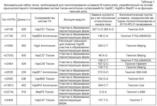 Способ генотипирования штаммов mycobacterium tuberculosis (патент 2547598)