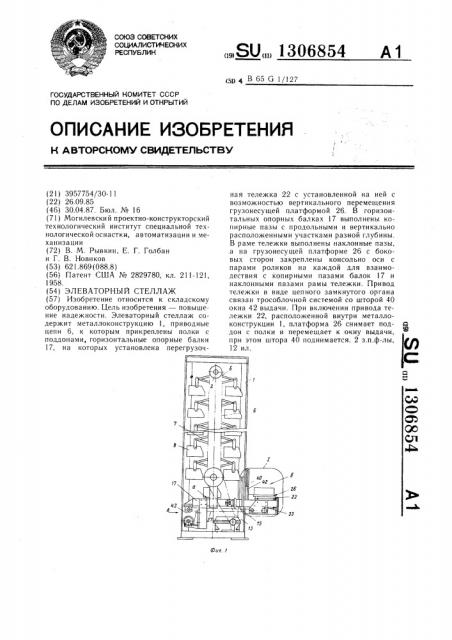 Элеваторный стеллаж (патент 1306854)