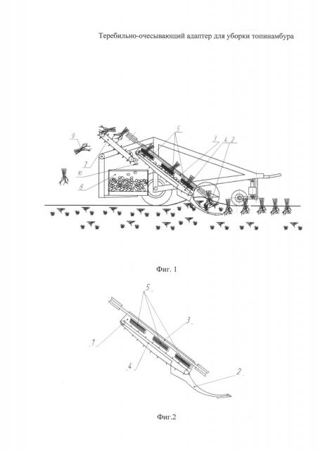 Теребильно-очесывающий адаптер для уборки топинамбура (патент 2650390)