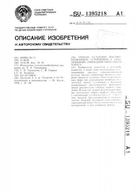 Способ селекции высокоурожайной,устойчивой к заболеваниям гибридной популяции томата (патент 1395218)