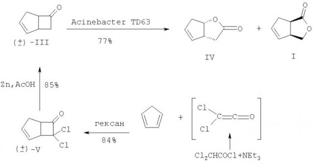 Способ получения (+)- и (-)-3-оксабицикло[3.3.0]окт-6-ен-2-онов (патент 2381221)