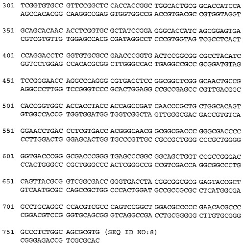 Протеаза streptomyces (патент 2486244)