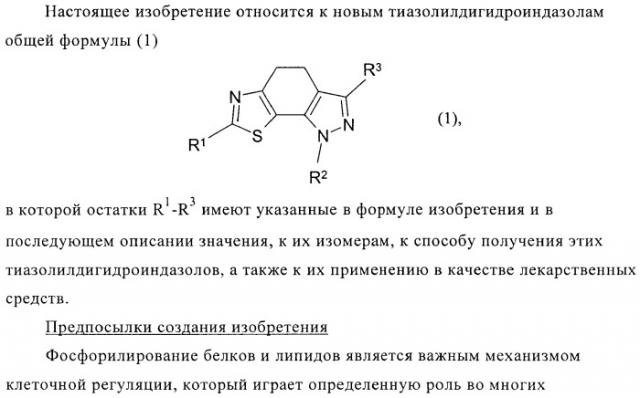 Тиазолилдигидроиндазолы (патент 2403258)