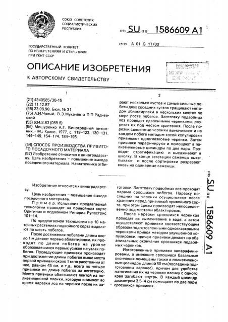 Способ производства привитого посадочного материала (патент 1586609)