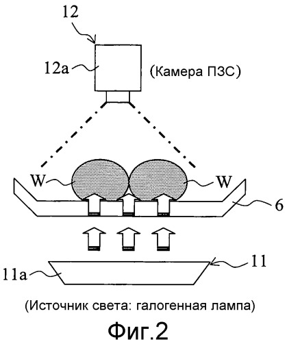 Устройство для определения зрелости икры и способ определения зрелости икры (патент 2493552)