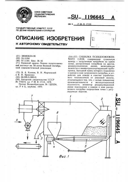 Сушилка псевдоожиженного слоя (патент 1196645)