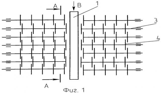 Способ и устройство для подготовки льняной тресты к трепанию (патент 2446237)
