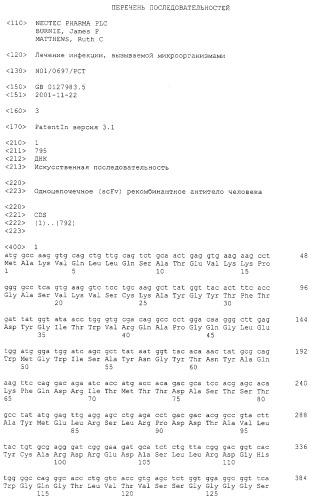 Лечение инфекции, вызываемой микроорганизмами (патент 2303460)