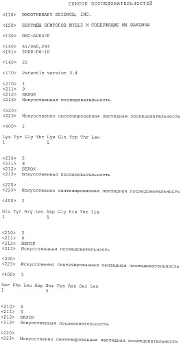 Пептиды эпитопов mybl2 и содержащие их вакцины (патент 2496787)