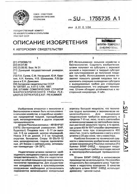 Штамм соматических структур макроскопического гриба рlеurотus оsтrеатus (jаsт. f @ )кuммеr (патент 1755735)